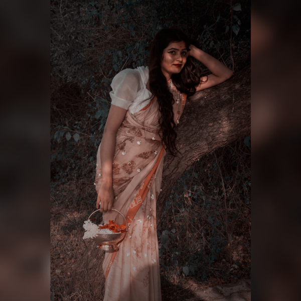 lac nellore silk saree